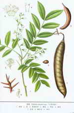 ��ͼ��������