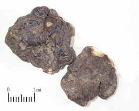 ��ͼ������