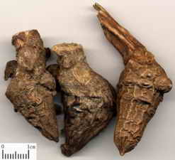 ��ͼ������