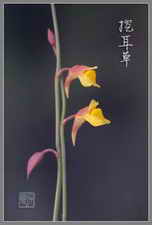 ��ͼ���ڶ���