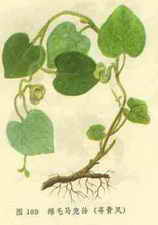 ��ͼ��Ѱ�Ƿ�