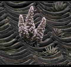 ��ͼ������