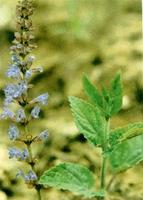 ��ͼ���ϲ�