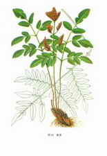 ��ͼ����ݽ