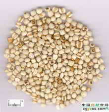 ��ͼ��޲����