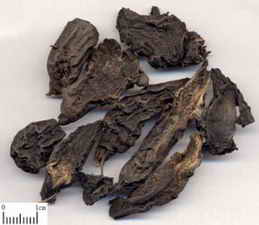 ��ͼ������