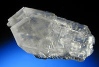 ��ͼ��â��ҩ��