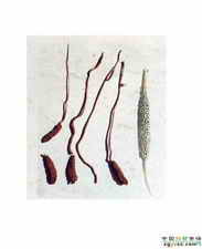 ��ͼ����ɽ���