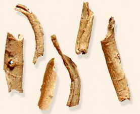 ��ͼ�����Ƥ