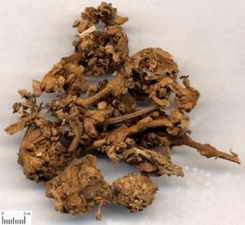 ��ͼ�����ɻ�ҩ��