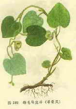 ��ͼ����ë������