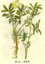 ��ͼ��ί���