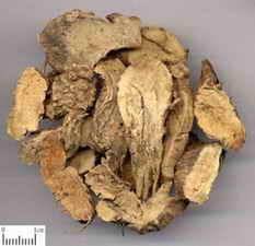 ��ͼ�����ҩ��