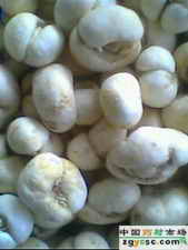 ��ͼ���㱴ĸ