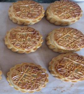 �����±�_�����±�������_�����±���ô��������