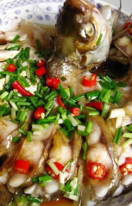 ��ȸ�����������