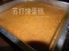 �մ�����������