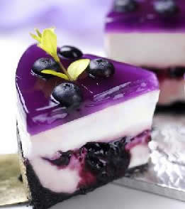 ��ݮ��֥ʿ���������