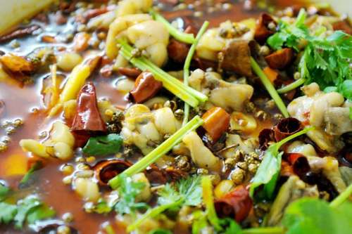 ˮ��ţ�ܵ�����