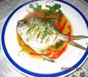 �������������