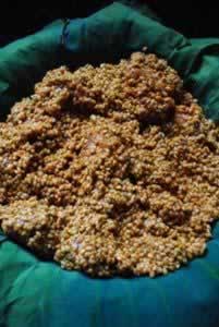 ����Ŵ�����Źǵ���������ͻ�˲��ף�