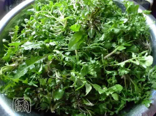 ���˶�����˿�����������ش�����ף�