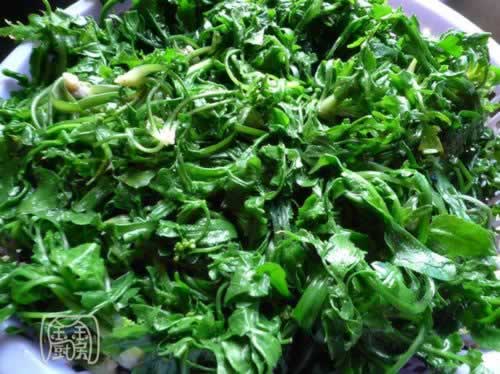 ���˶�����˿�����������ش�����ף�