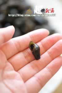 ���ձ���ɽ���ݵ���������˲��ף�