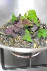 ���ձ���ɽ���ݵ���������˲��ף�