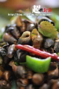 ���ձ���ɽ���ݵ���������˲��ף�