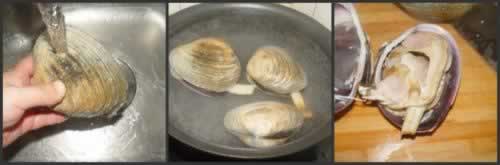 ���&ldquo;��쵰&rdquo;�����������ʲ��ף�