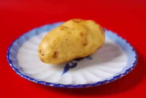 ��������˿�����������˲��ף�