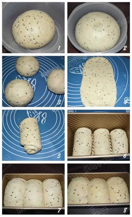 ���ֺ�֥����˾����������Ͳ��ף�