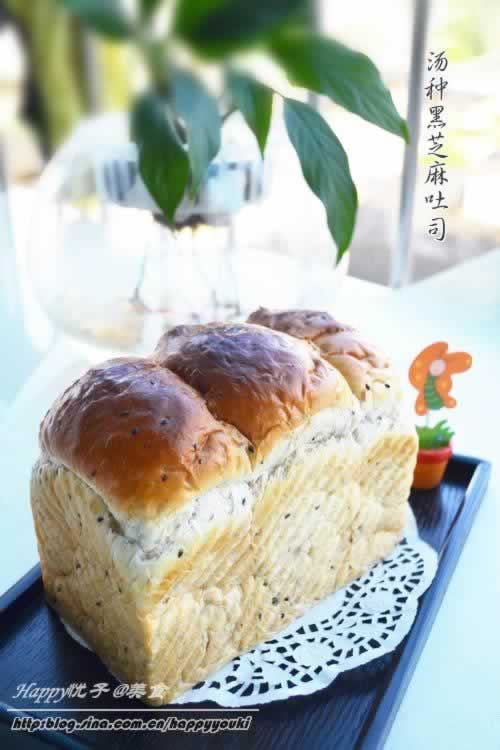 ���ֺ�֥����˾����������Ͳ��ף�