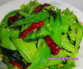 �س���˹�_�س���˹�������_ͼ���س���˹���ô��,�����������