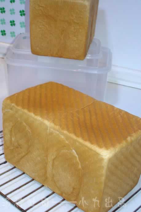 ������˾����������Ͳ��ף�