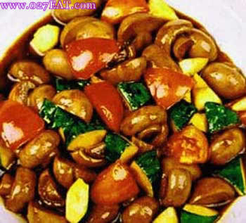 ��������Ģ��_��������Ģ��������_ͼ����������Ģ����ô��,�����������