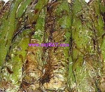 �Ǵ׻�Ƥ����������������