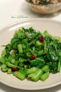 �س����ĵ�����