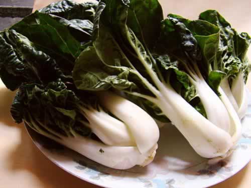 ����ͷ�����������������������ش�����ף�