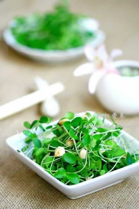 �㴻����������㴻�絰�����������ز˲���)