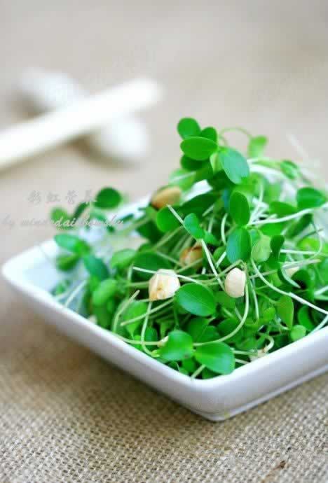 �㴻����������㴻�絰�����������ز˲���)