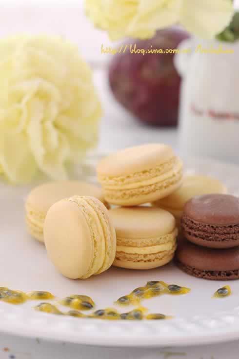 ���������������������Ͳ��ף�