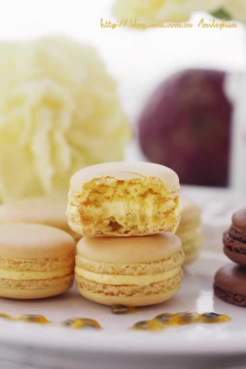 ���������������������Ͳ��ף�