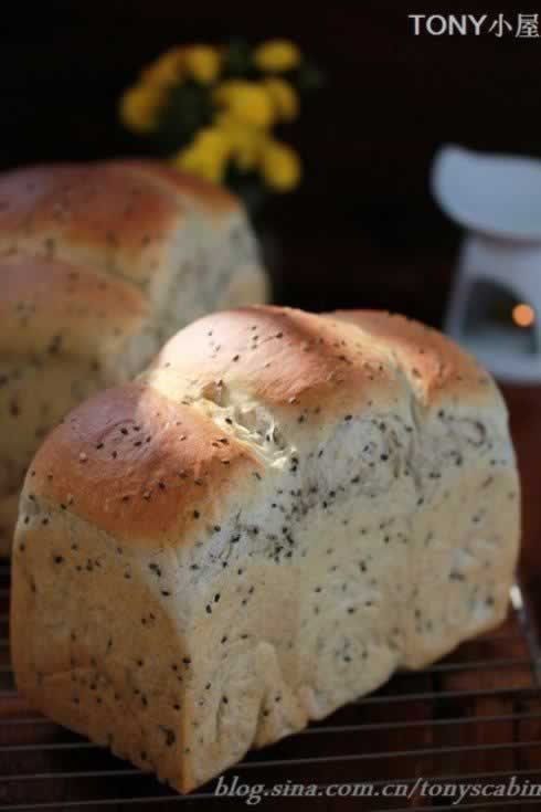 ֥�������˾����������Ͳ��ף�