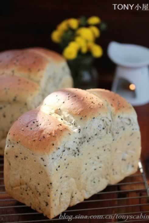 ֥�������˾����������Ͳ��ף�