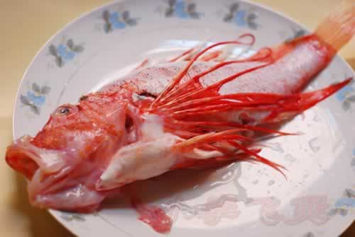 清蒸须斑的做法(海鲜菜谱)