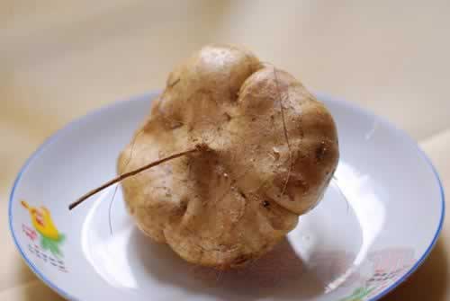 ɳ���ⶡ�����������ش�����ף�