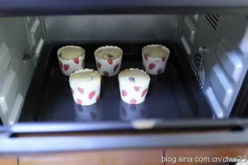 ��Խݮ���ҵ���������Ͳ��ף�