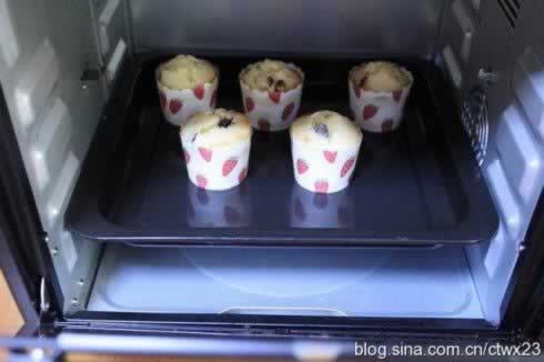 ��Խݮ���ҵ���������Ͳ��ף�